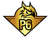 p6vip